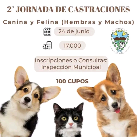 2da jornada castraciones