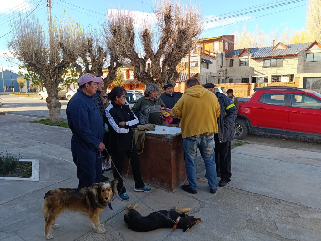castraciones 2025